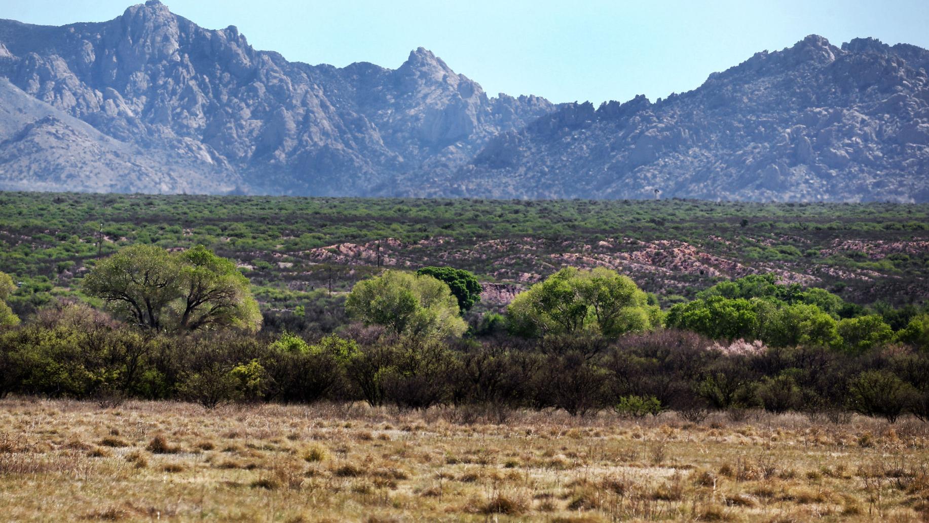 Whistleblower's claims lead judge to order release of federal records in Vigneto case